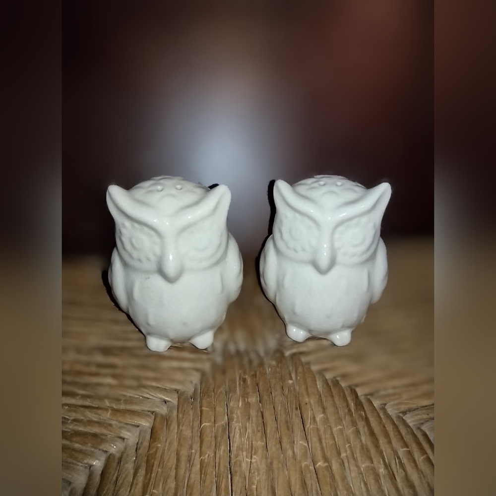 Ivory Owl Salt and Pepper Shakers 🆕